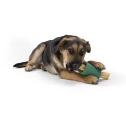 West Paw Funnl Dog Toy, Large, 4.25-in -Pet Toys Shop 847974 PT7. AC SS1800 V1683904309