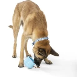 West Paw Toppl Dog Toy, X-Large, 4.75-in -Pet Toys Shop 848006 PT5. AC SS1800 V1683905445