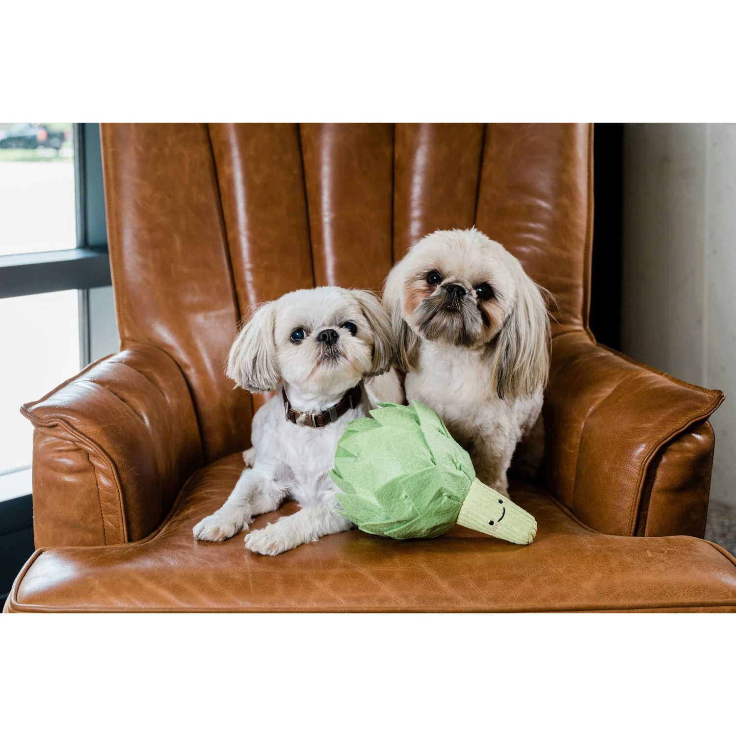 Injoya Artichoke Cat & Dog Snuffle Toy, Green, Small 3 Injoya Artichoke Cat & Dog Snuffle Toy, Green, Small - Image 3