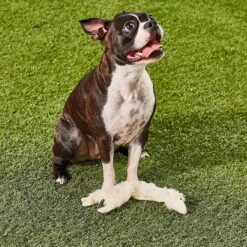 Ethical Pet Skinneeez Crinklers Lamb Stuffing-Free Squeaky Plush Dog Toy 5 Ethical Pet Skinneeez Crinklers Lamb Stuffing-Free Squeaky Plush Dog Toy -Pet Toys Shop 85045 PT7. AC SS1800 V1527093302