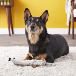 Ethical Pet Skinneeez Crinklers Goat Stuffing-Free Squeaky Plush Dog Toy 6 Ethical Pet Skinneeez Crinklers Goat Stuffing-Free Squeaky Plush Dog Toy -Pet Toys Shop 85048 PT7. AC SS1800 V1527093496