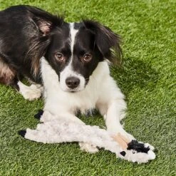 Ethical Pet Skinneeez Crinklers Goat Stuffing-Free Squeaky Plush Dog Toy 7 Ethical Pet Skinneeez Crinklers Goat Stuffing-Free Squeaky Plush Dog Toy -Pet Toys Shop 85048 PT8. AC SS1800 V1530547773