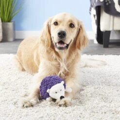 Ethical Pet Gigglers Hedgehog Plush Dog Toy, Color Varies -Pet Toys Shop 85067 PT3. AC SS1800 V1545176456