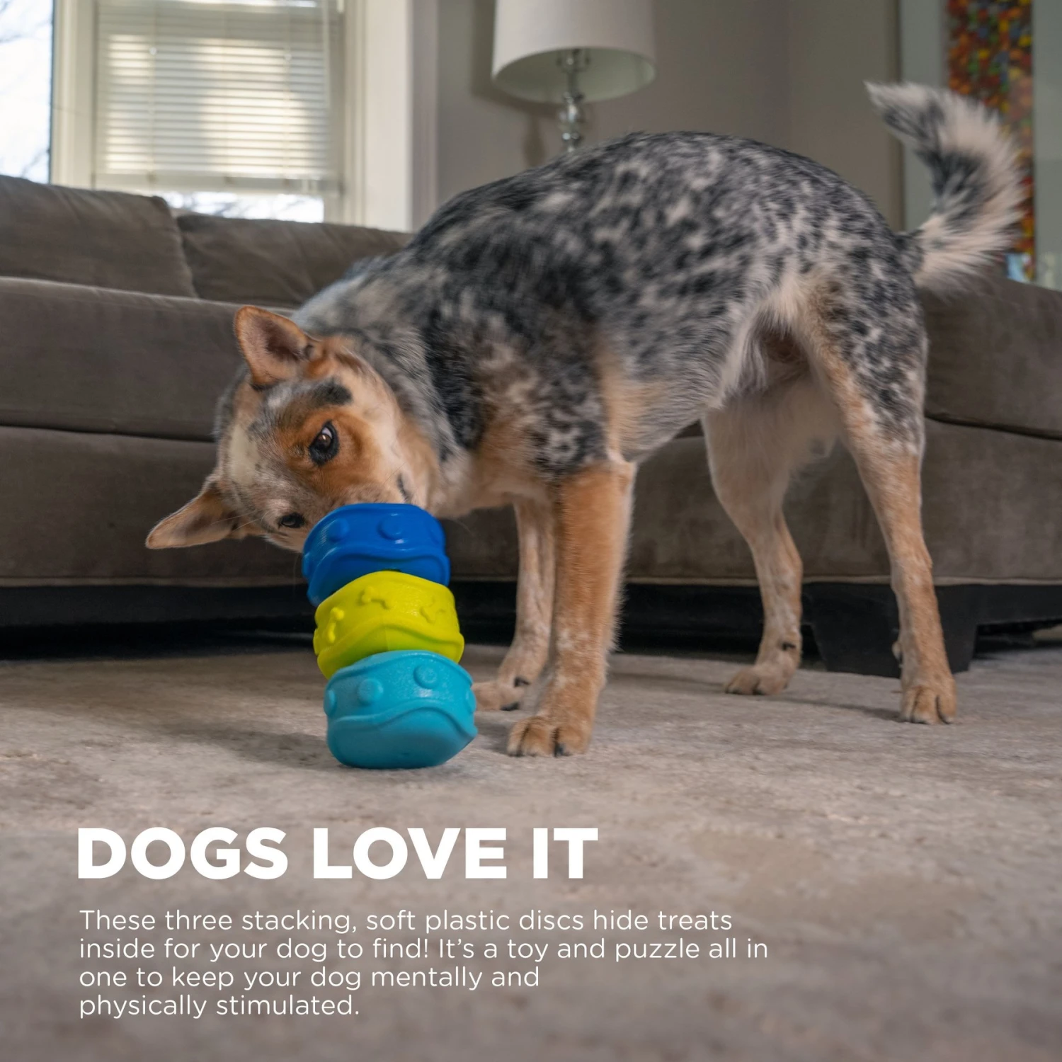 Outward Hound Treat Locking Discs Dispenser Puzzle Dog Toy, Multiple Colors 2 Outward Hound Treat Locking Discs Dispenser Puzzle Dog Toy, Multiple Colors - Image 2