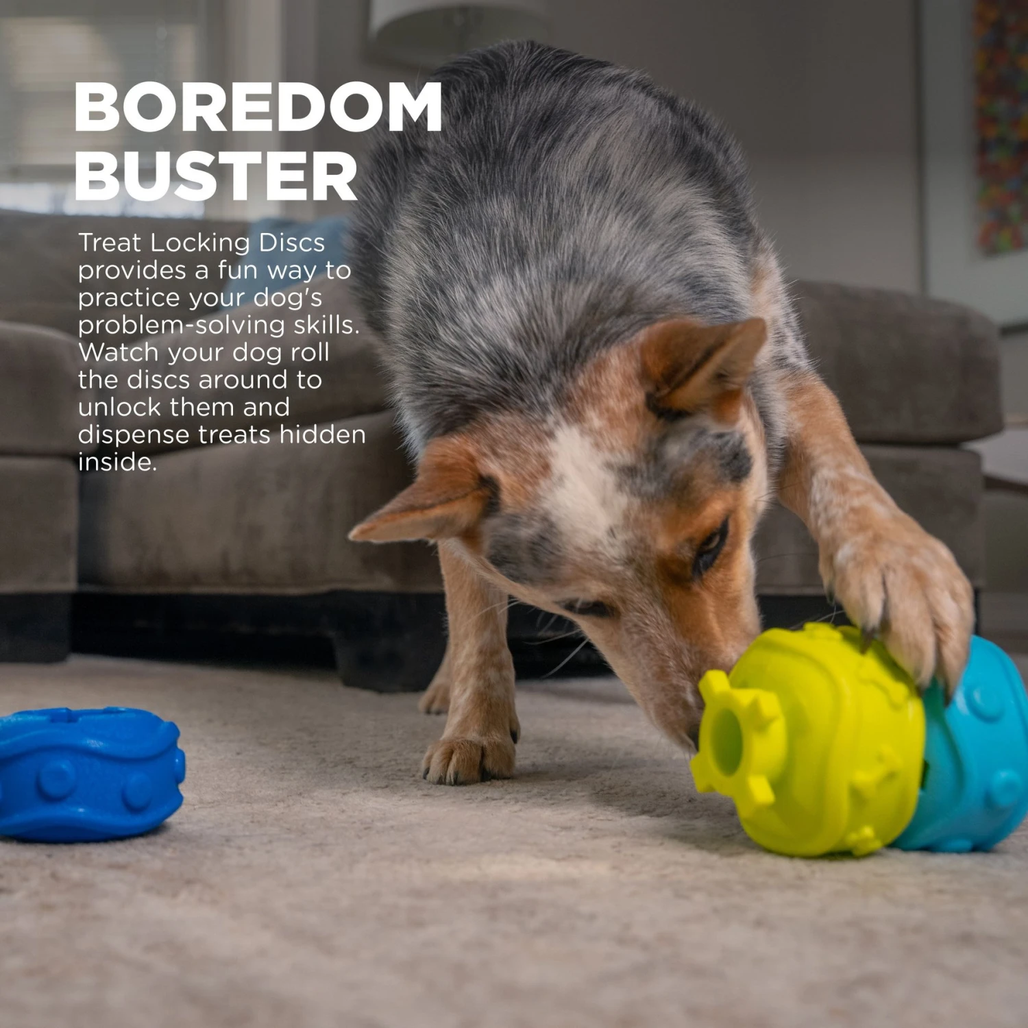 Outward Hound Treat Locking Discs Dispenser Puzzle Dog Toy, Multiple Colors 3 Outward Hound Treat Locking Discs Dispenser Puzzle Dog Toy, Multiple Colors - Image 3