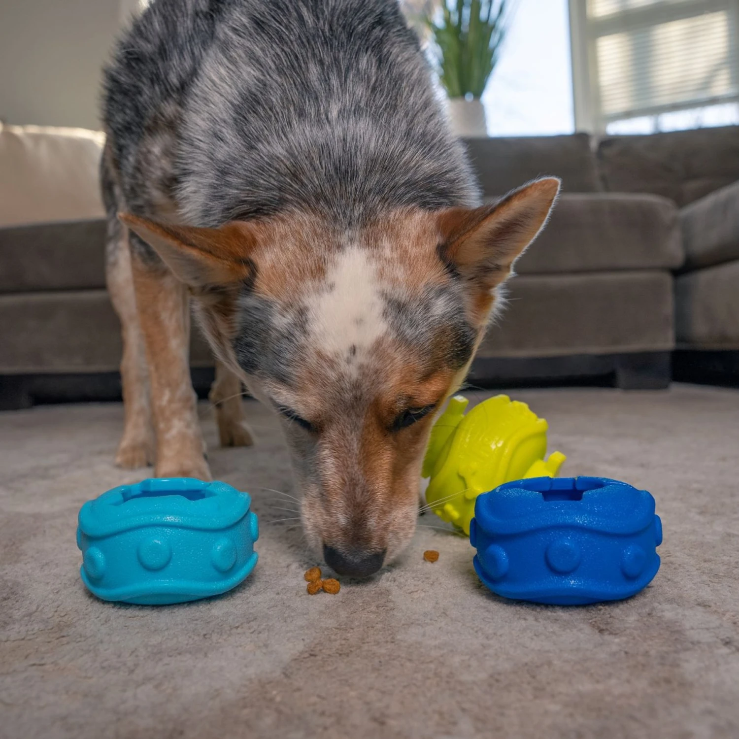 Outward Hound Treat Locking Discs Dispenser Puzzle Dog Toy, Multiple Colors 6 Outward Hound Treat Locking Discs Dispenser Puzzle Dog Toy, Multiple Colors - Image 6