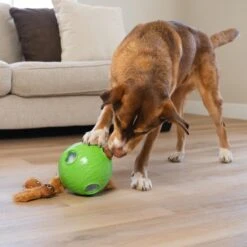 Nina Ottosson By Outward Hound Snuffle N' Treat Interactive Puzzle Ball & Treat Dispenser Dog Toy, Green -Pet Toys Shop 855590 PT4. AC SS1800 V1694286045