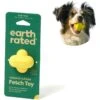 Earth Rated Rubber Fetch Chew Dog Toy