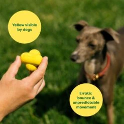 Earth Rated Rubber Fetch Chew Dog Toy -Pet Toys Shop 856150 PT3. AC SS1800 V1701935737