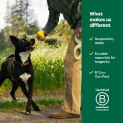 Earth Rated Rubber Fetch Chew Dog Toy -Pet Toys Shop 856150 PT6. AC SS1800 V1701983280