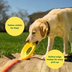 Earth Rated Flyer Dog Toy 12 Earth Rated Flyer Dog Toy -Pet Toys Shop 856190 PT3. AC SS1800 V1701983280