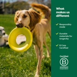 Earth Rated Flyer Dog Toy 15 Earth Rated Flyer Dog Toy -Pet Toys Shop 856190 PT6. AC SS1800 V1701983219