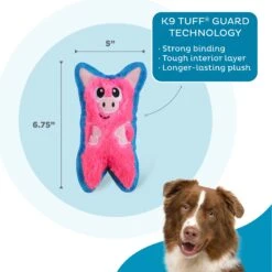 Outward Hound Invincibles Minis Squeaky Stuffing-Free Plush Dog Toy -Pet Toys Shop 85905 PT2. AC SS1800 V1636512377