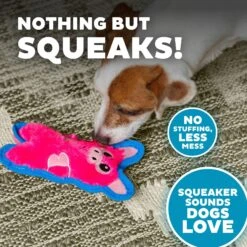 Outward Hound Invincibles Minis Squeaky Stuffing-Free Plush Dog Toy -Pet Toys Shop 85905 PT3. AC SS1800 V1636517562