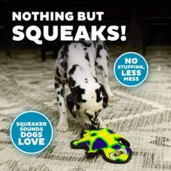 Outward Hound Invincibles Geckos Squeak Dog Toy -Pet Toys Shop 85910 PT3. AC SS1800 V1636512218