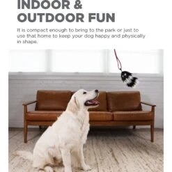 Outward Hound Tail Teaser With Refill Dog & Cat Teaser Toy -Pet Toys Shop 85934 PT2. AC SS1800 V1636518395