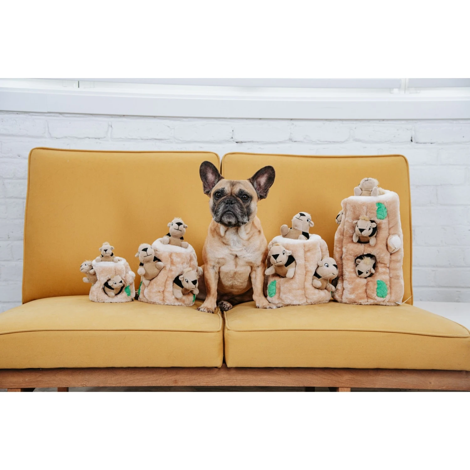 Outward Hound Hide A Squirrel Squeaky Puzzle Plush Dog Toy 8 Outward Hound Hide A Squirrel Squeaky Puzzle Plush Dog Toy - Image 8