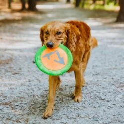 Hound2O Reflective Flyer Dog Toy 9 Hound2O Reflective Flyer Dog Toy -Pet Toys Shop 863726 PT2. AC SS1800 V1687284093