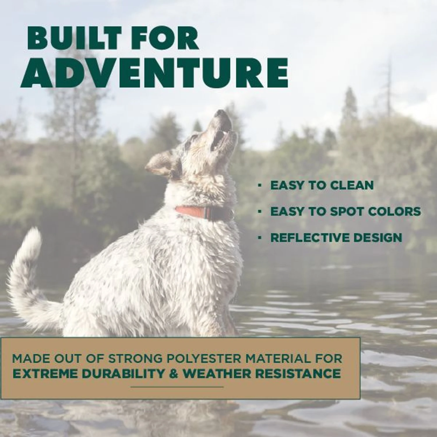 Hound2O Reflective Flyer Dog Toy 5 Hound2O Reflective Flyer Dog Toy - Image 5