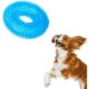 CoCoo Squeaky Dog Chew Toy