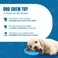 CoCoo Squeaky Dog Chew Toy -Pet Toys Shop 871494 PT2. AC SS1800 V1702314399