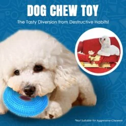 CoCoo Squeaky Dog Chew Toy -Pet Toys Shop 871494 PT3. AC SS1800 V1702314403