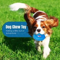CoCoo Squeaky Dog Chew Toy -Pet Toys Shop 871494 PT4. AC SS1800 V1702314397