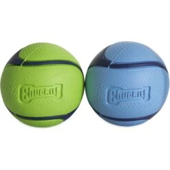 Chuckit! Sniff Fetch Balls Duo Dog Toy, Medium -Pet Toys Shop 872214 PT2. AC SS1800 V1687800040
