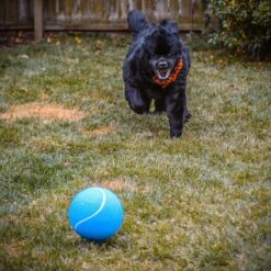 Pet Fit For Life Giant Tennis Ball Dog Toy, Yellow -Pet Toys Shop 872422 PT4. AC SS1800 V1686247988
