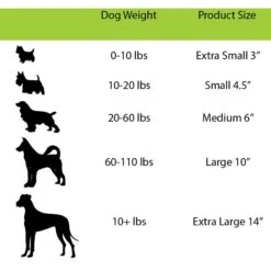 Jolly Pets 14" Push-n-Play Dog Toy 5 Jolly Pets 14" Push-n-Play Dog Toy -Pet Toys Shop 88439 PT2. AC SS1800 V1629245209