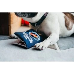 P.L.A.Y. Pet Lifestyle And You Globetrotter Set Plush Squeaky Dog Toy, 5 Count -Pet Toys Shop 895710 PT7. AC SS1800 V1695416397