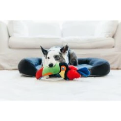 P.L.A.Y. Pet Lifestyle And You Fetching Flock Collection Tito The Toucan Plush Squeaky Dog Toy -Pet Toys Shop 895822 PT3. AC SS1800 V1689966510