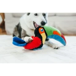 P.L.A.Y. Pet Lifestyle And You Fetching Flock Collection Tito The Toucan Plush Squeaky Dog Toy -Pet Toys Shop 895822 PT4. AC SS1800 V1689793858