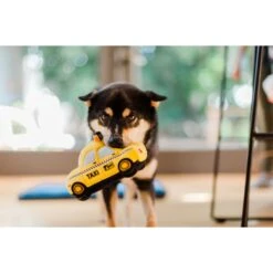 P.L.A.Y. Pet Lifestyle And You Canine Commute Set Plush Squeaky Dog Toy, 5 Count -Pet Toys Shop 895918 PT3. AC SS1800 V1695507377