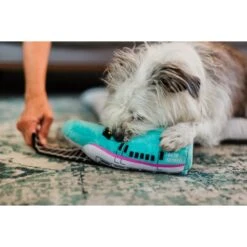 P.L.A.Y. Pet Lifestyle And You Canine Commute Set Plush Squeaky Dog Toy, 5 Count -Pet Toys Shop 895918 PT7. AC SS1800 V1695507376