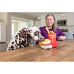 P.L.A.Y. Pet Lifestyle And You Barking Brunch Collection BennyS Benedict Plush Squeaky Dog Toy -Pet Toys Shop 896094 PT4. AC SS1800 V1689795050