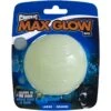 Chuckit! Max Glow Ball Dog Toy