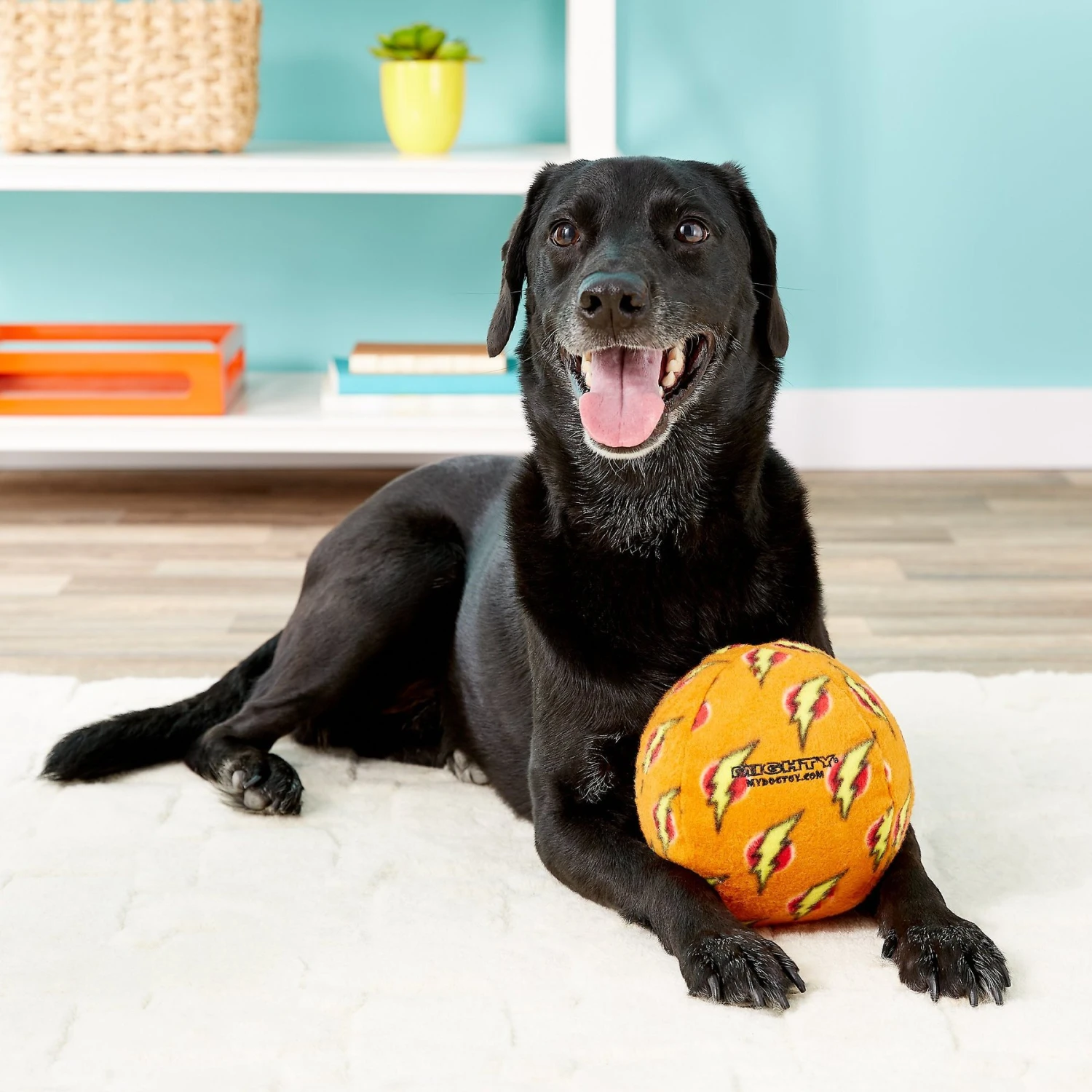 Mighty Squeaky Stuffing-Free Plush Ball Dog Toy 4 Mighty Squeaky Stuffing-Free Plush Ball Dog Toy - Image 4