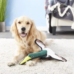 Tuffy's Barnyard Duck Squeaky Plush Dog Toy -Pet Toys Shop 90117 PT3. AC SS1800 V1589560645