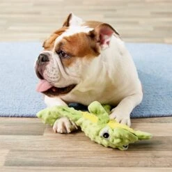 Ethical Pet Skinneeez Extreme Stuffer Frog Stuffing-Free Squeaky Plush Dog Toy -Pet Toys Shop 90288 PT7. AC SS1800 V1527093792