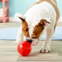 Ethical Pet Play Strong Rubber Ball Tough Dog Chew Toy -Pet Toys Shop 90300 PT8. AC SS1800 V1508334729