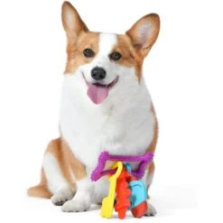 FISHER PRICE Key-9 Teething Ring Dog Toy, Multicolor -Pet Toys Shop 907990 PT3. AC SS1800 V1695643660