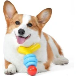 FISHER PRICE Stack N' Relax Resilient Chewer Dog Toy, Multicolor 6 FISHER PRICE Stack N' Relax Resilient Chewer Dog Toy, Multicolor -Pet Toys Shop 908006 PT2. AC SS1800 V1695643663