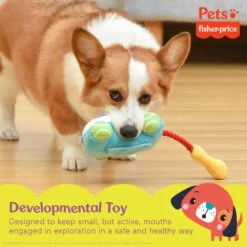 FISHER PRICE Sound-Bites Plush Dog Toy, Multicolor -Pet Toys Shop 908022 PT5. AC SS1800 V1699022163