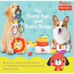 FISHER PRICE Sound-Bites Plush Dog Toy, Multicolor -Pet Toys Shop 908022 PT7. AC SS1800 V1699022102