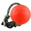 Jolly Pets Romp-n-Roll Dog Toy, Orange