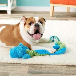 KONG Winders Tails Dog Toy -Pet Toys Shop 91302 PT2. AC SS1800 V1605308809