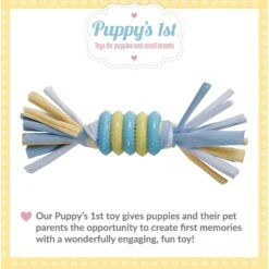 Snuggle Puppy Rings With Rope Puppy Chew Toy, Small -Pet Toys Shop 913110 PT2. AC SS1800 V1689702982