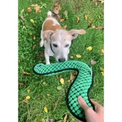 Snuggle Puppy Tender-Tuffs Fetch Boomerang Squeaky Dog Plush Toy, Green, Large -Pet Toys Shop 913190 PT6. AC SS1800 V1689701891