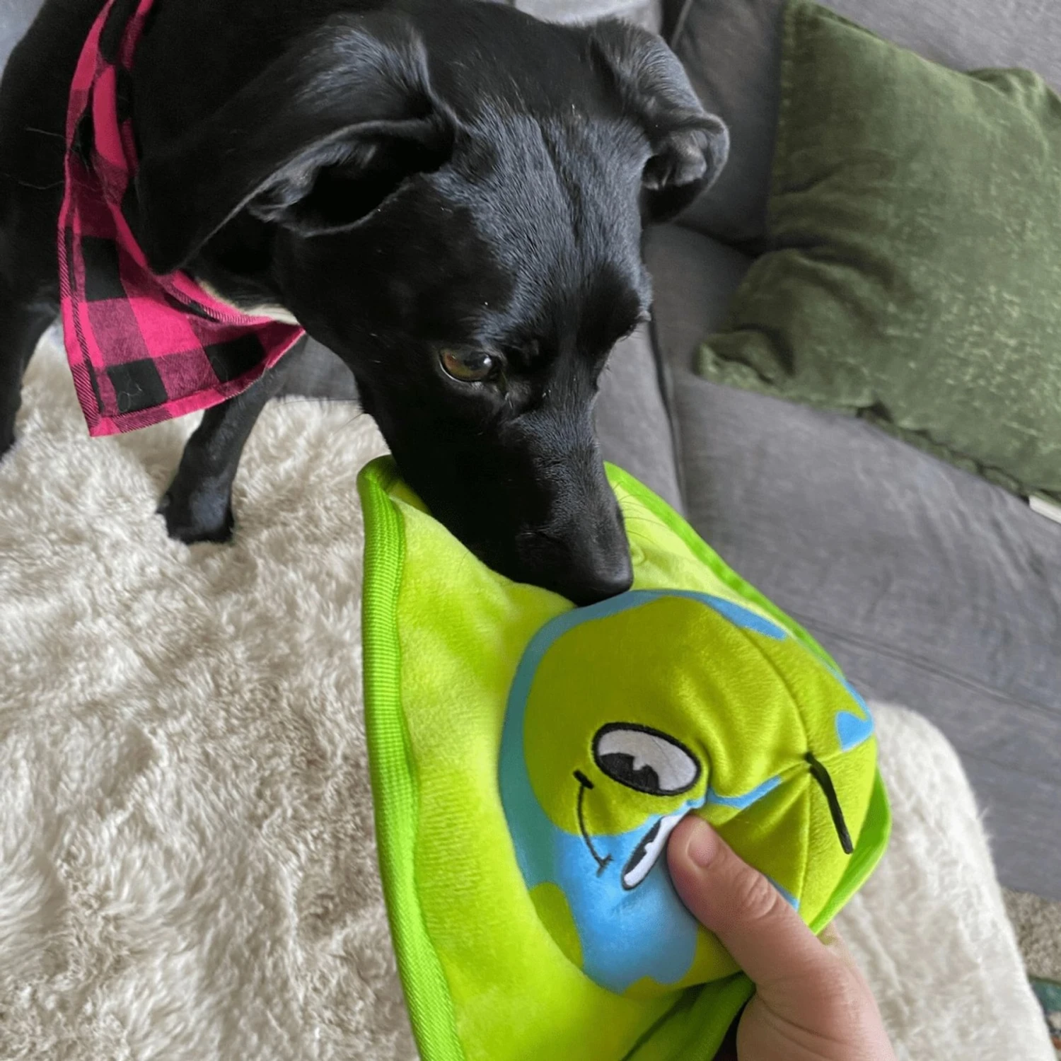 Snuggle Puppy Tender-Tuffs Ollie Orbit Two In One Squeaky Dog Plush Toy, Green, Medium 6 Snuggle Puppy Tender-Tuffs Ollie Orbit Two In One Squeaky Dog Plush Toy, Green, Medium - Image 6